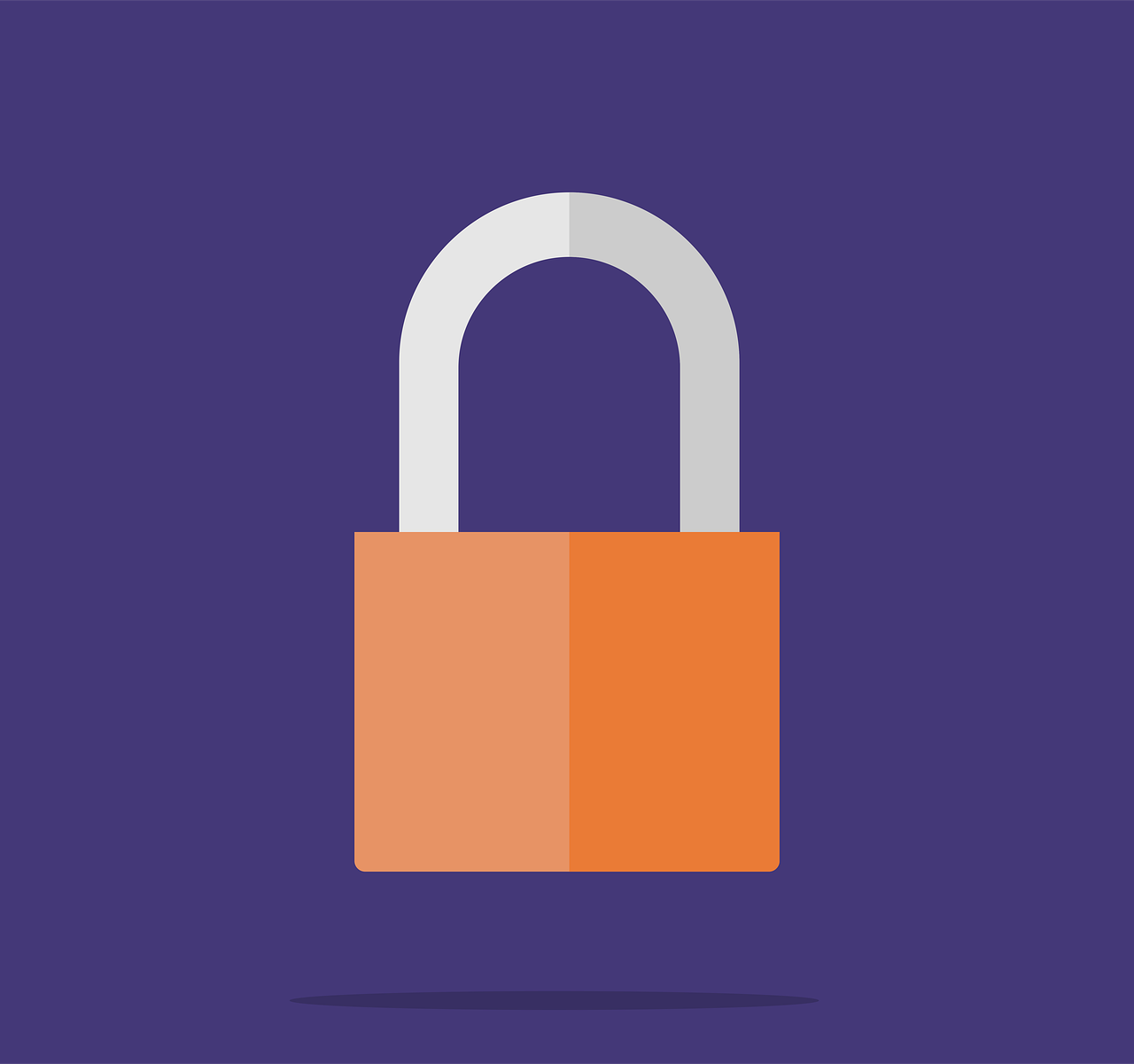 Maximum Security